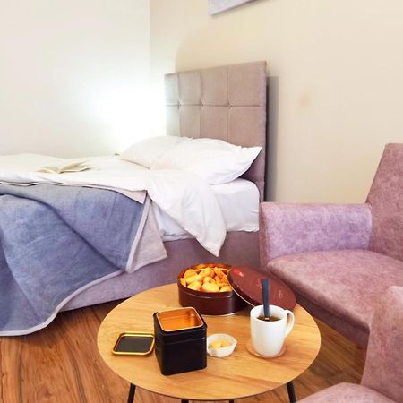 Dani Lux Belgrade Center Studio Apartment エクステリア 写真