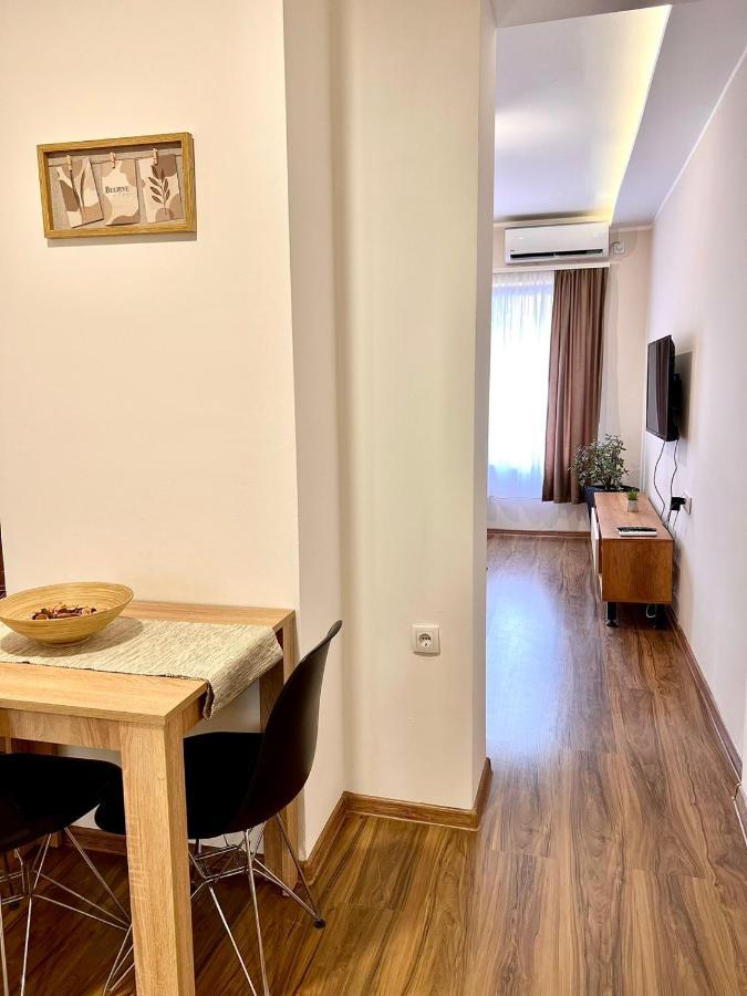 Dani Lux Belgrade Center Studio Apartment エクステリア 写真